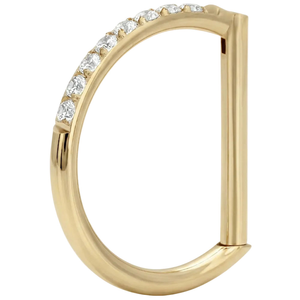 Titanium Segmented Clicker with Cubic Zirconia - D-Ring