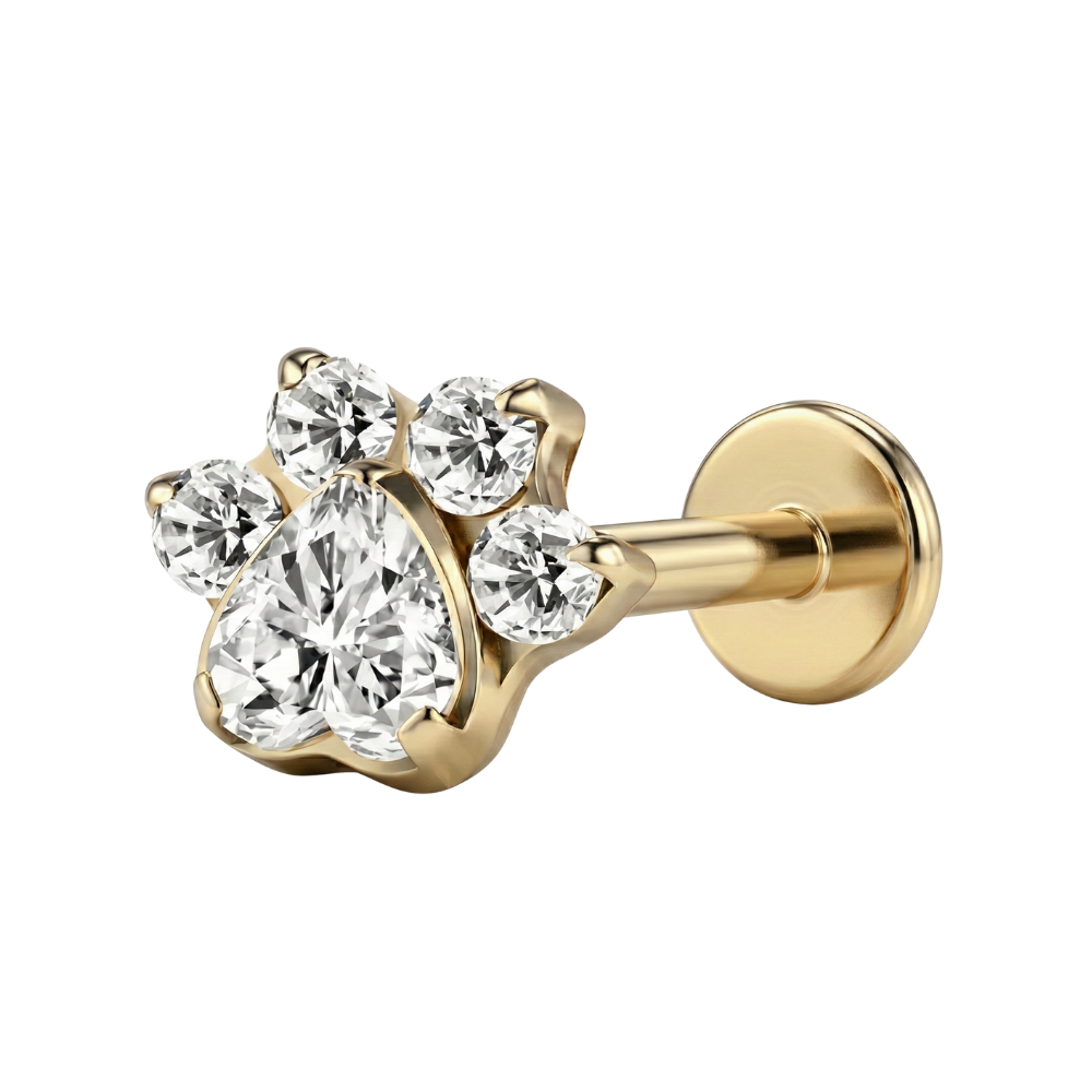 Labret decorativo de titanio - Pata con circonita cúbica