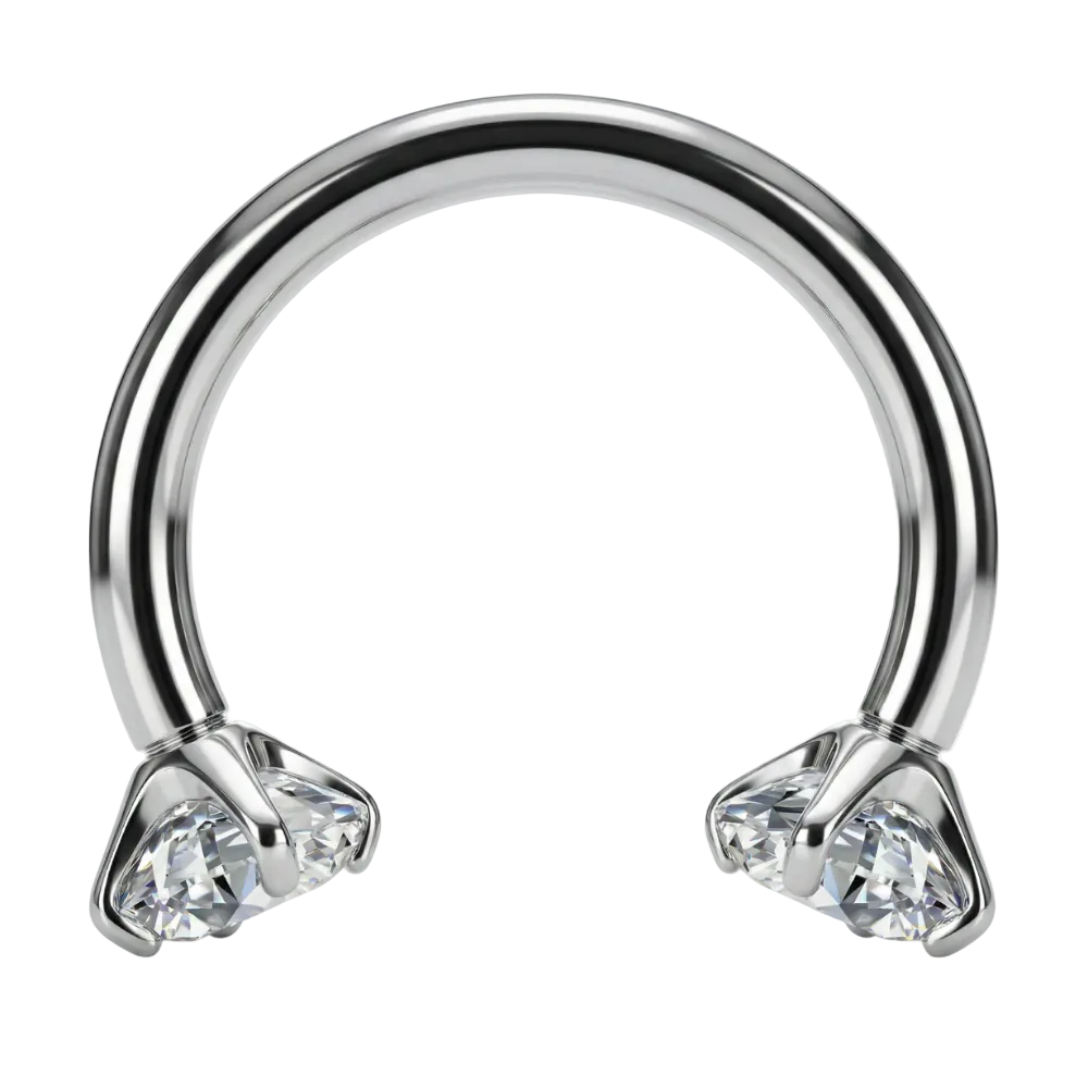 Titanium Decorative Horseshoe - Zircons