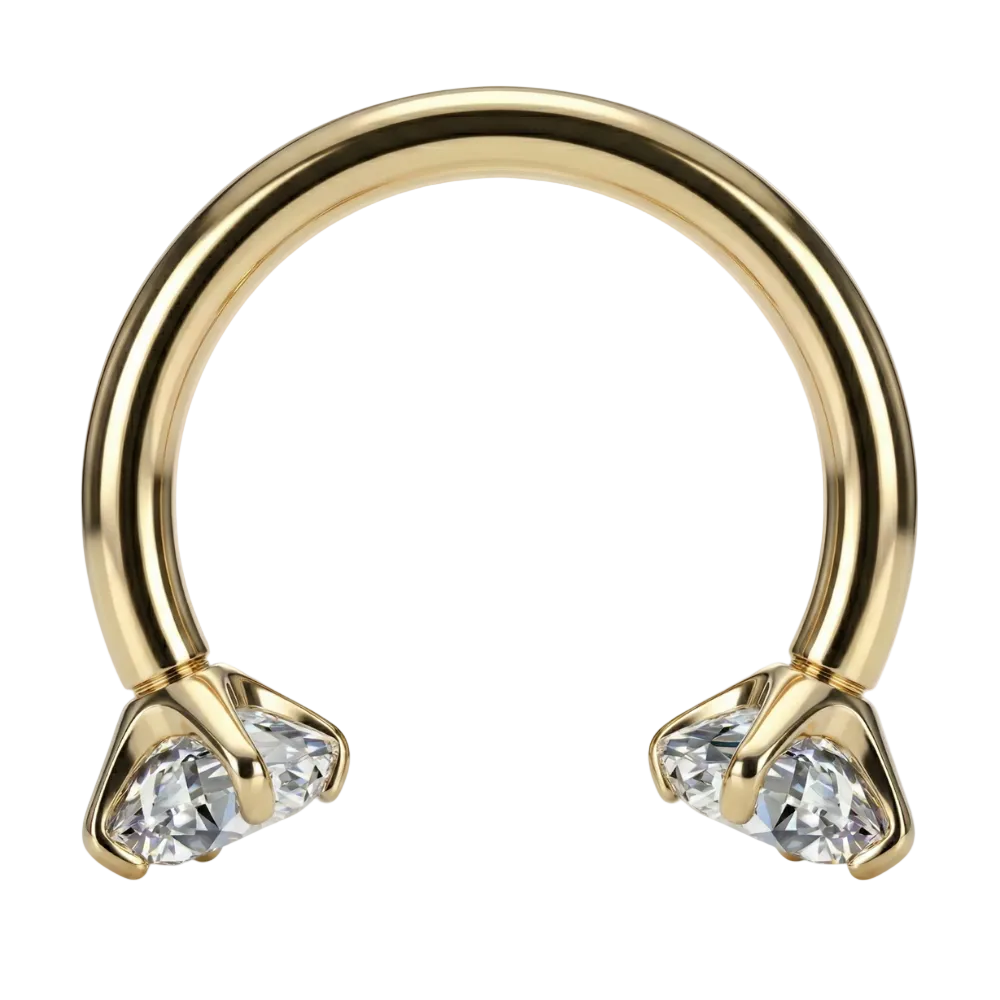 Titanium Decorative Horseshoe - Zircons