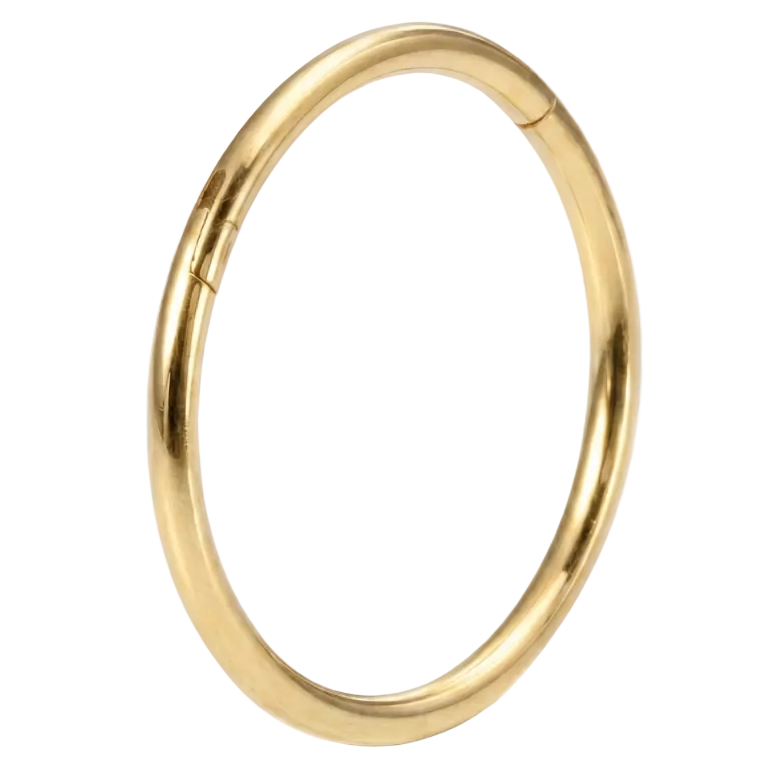 Clicker Segmentado de Titanio - Círculo - Piercing Planet