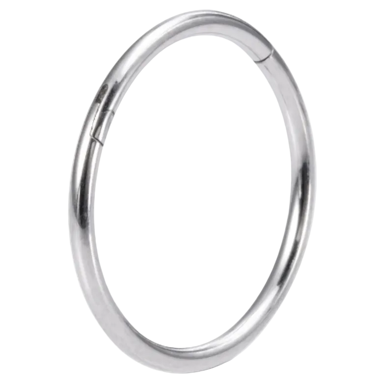 Titanium Segmented Clicker - Circle - Piercing Planet