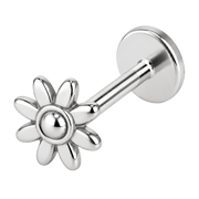 Stalowy Labret Ozdobny Stokrotka